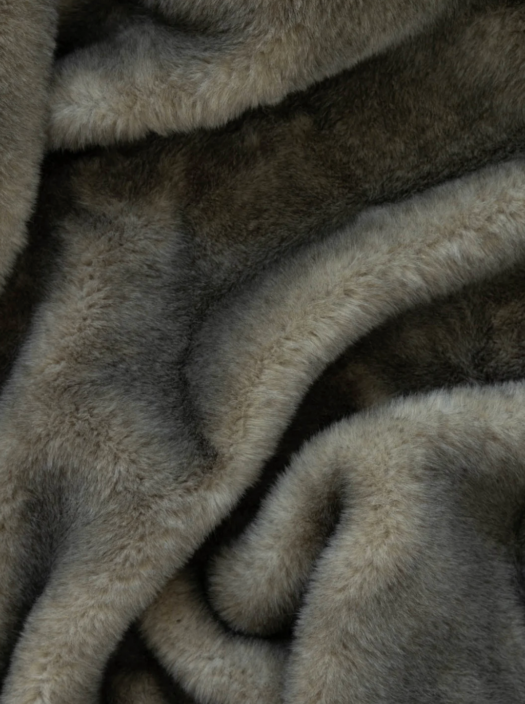 Greenland Fur in Forest