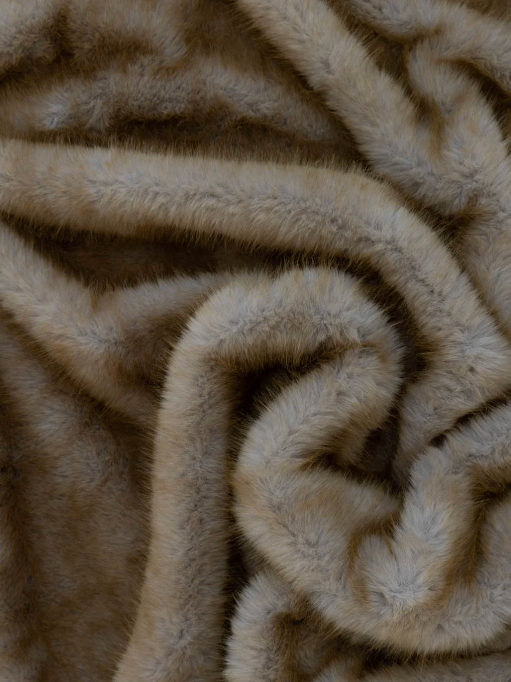 Caracul Fur in Savanna