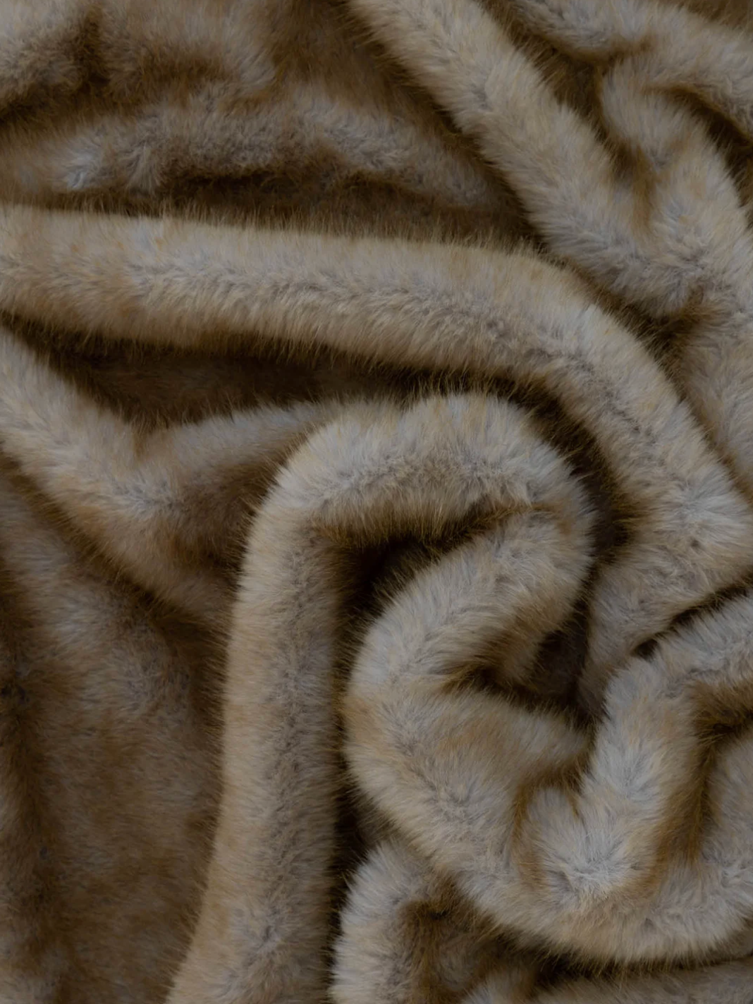 Caracul Fur in Savanna