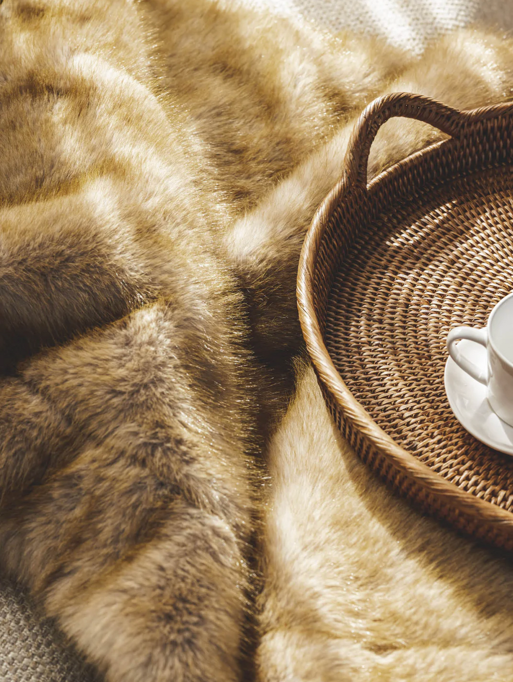 Caracul Fur in Savanna
