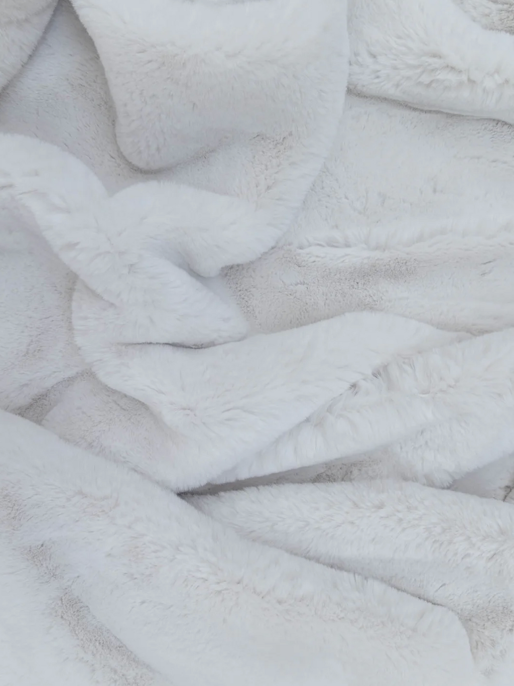 Polar Fur in Arctic
