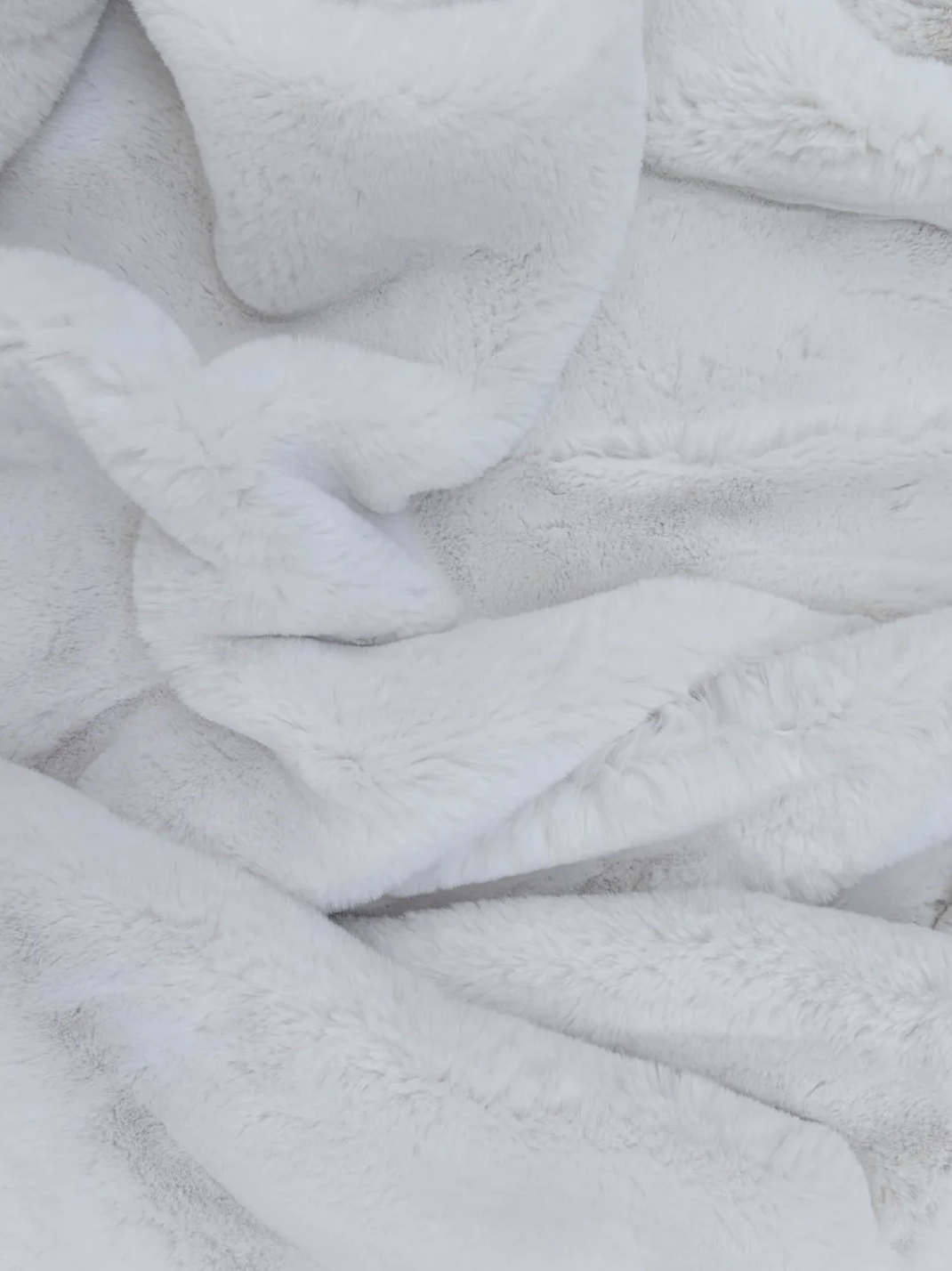 Polar Fur in Arctic
