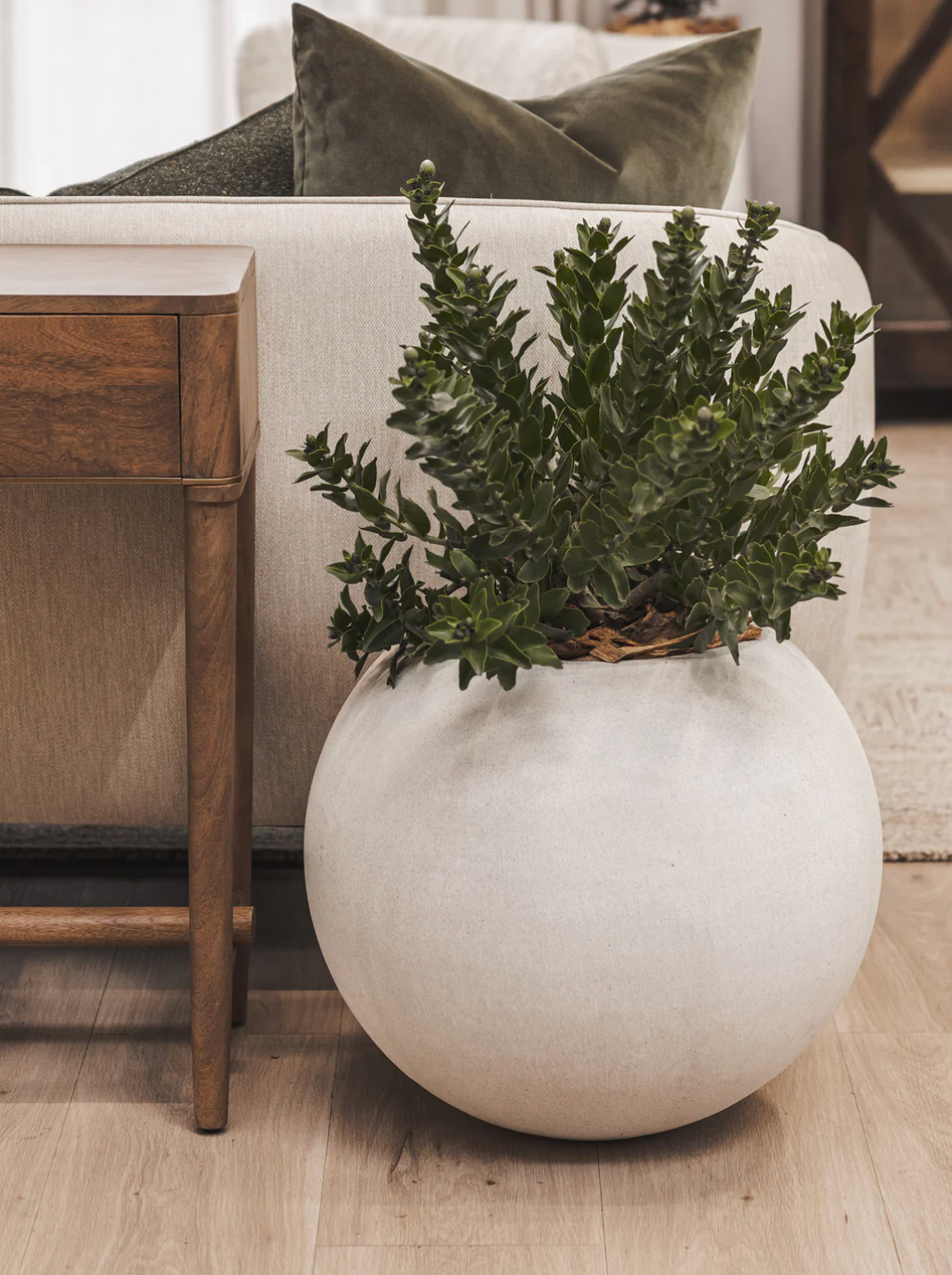 Cyclo Planter
