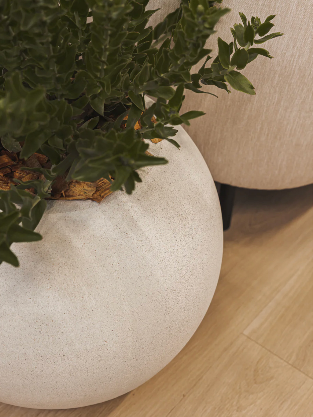 Cyclo Planter