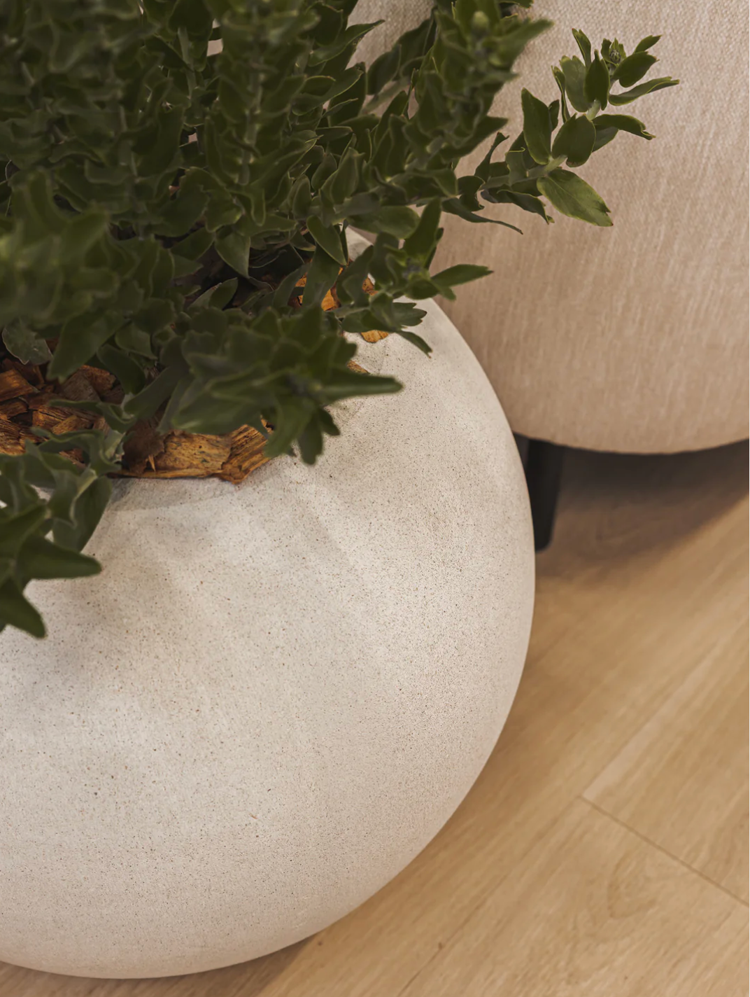 Cyclo Planter